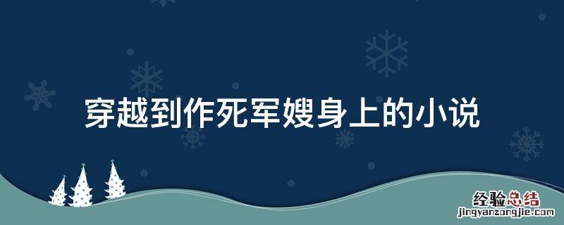 穿越到作死军嫂身上的小说