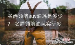 名爵领航suv油耗是多少？ 名爵领航油耗实际多少