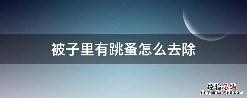 被子里有跳蚤怎么去除