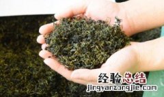 野生茶是什么茶 大别山野生茶是什么茶