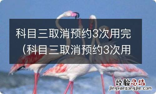 科目三取消预约3次用完怎么办 科目三取消预约3次用完