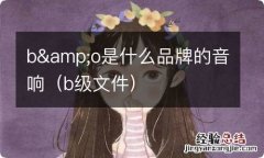 b级文件 b&amp;o是什么品牌的音响