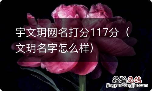 文玥名字怎么样 宇文玥网名打分117分