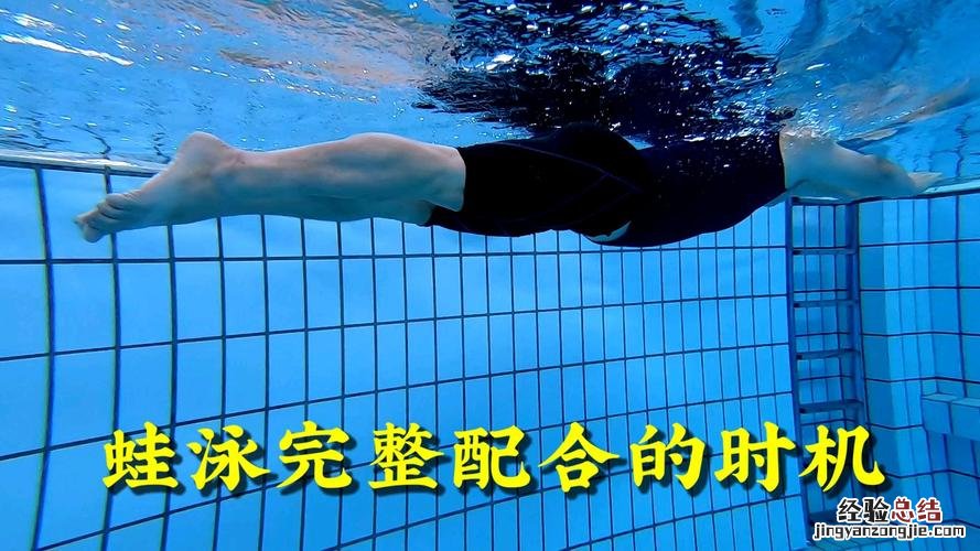 多久可以学会一种泳姿