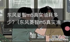 东风菱智m5真实油耗多少钱 东风菱智m5真实油耗多少?