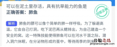 可以在泥土里存活具有抗旱能力的鱼是肺鱼还是飞鱼？蚂蚁神器海洋今日3.18最新答案