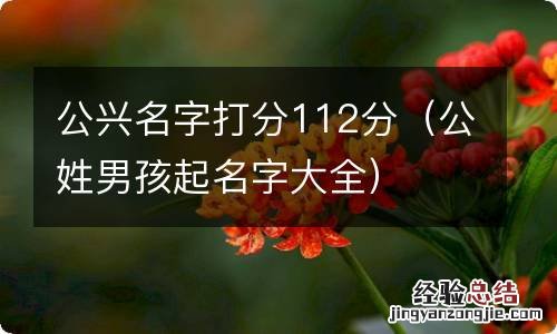 公姓男孩起名字大全 公兴名字打分112分