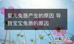 婴儿兔唇产生的原因 导致宝宝兔唇的原因