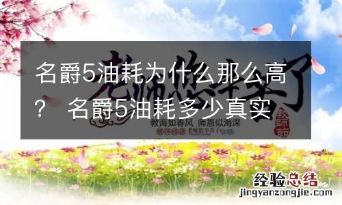名爵5油耗为什么那么高？ 名爵5油耗多少真实油耗