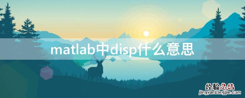 matlab中disp什么意思