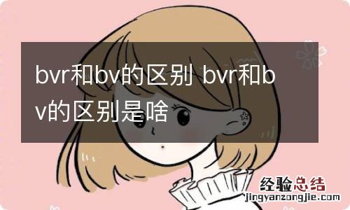 bvr和bv的区别 bvr和bv的区别是啥