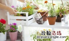 为什么炎夏中午不宜用冷水浇花 为什么炎热夏天中午不能用冷水浇灌植物