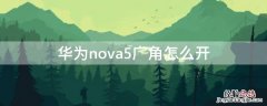 华为nova5pro广角怎么开 华为nova5广角怎么开