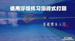 25米水下蝶泳腿多少下