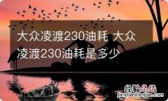 大众凌渡230油耗 大众凌渡230油耗是多少