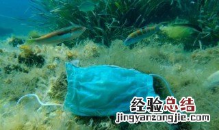 清澈的海水中也有病毒吗正确还是错误 清澈的海水中也有病毒吗