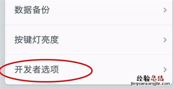 坚果pro2怎么打开开发者选项