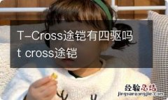 T-Cross途铠有四驱吗 t cross途铠