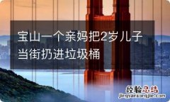 宝山一个亲妈把2岁儿子当街扔进垃圾桶