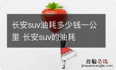 长安suv油耗多少钱一公里 长安suv的油耗