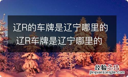 辽R的车牌是辽宁哪里的 辽R车牌是辽宁哪里的