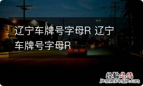 辽宁车牌号字母R 辽宁车牌号字母R