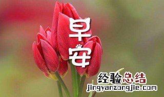 简单的每天一句早安语 每天早安问候语简短一句话