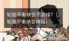 轮胎平衡块会掉吗 轮胎平衡块会不会掉?