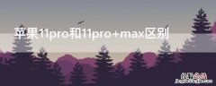 iPhone11pro和11pro max区别