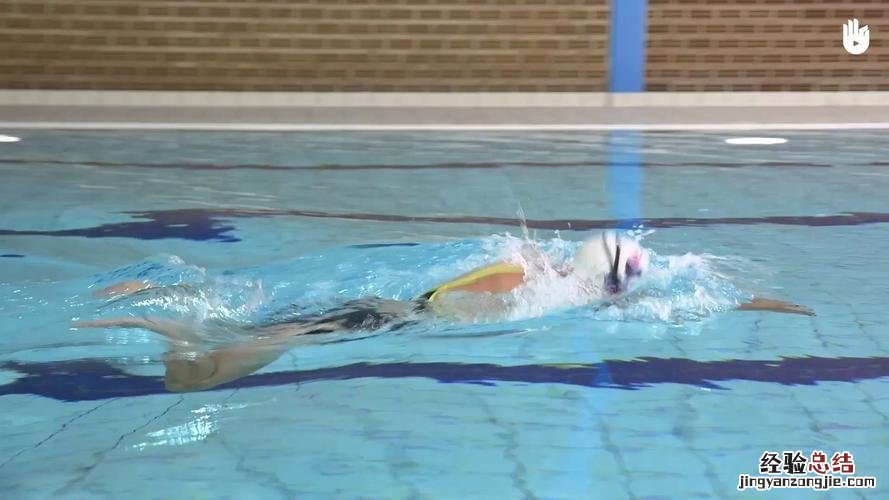 50m蛙泳多少次划水