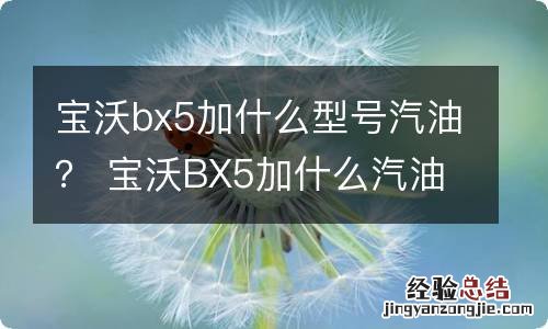 宝沃bx5加什么型号汽油？ 宝沃BX5加什么汽油