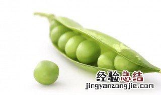 豌豆咋样保存 小豌豆的保存方法