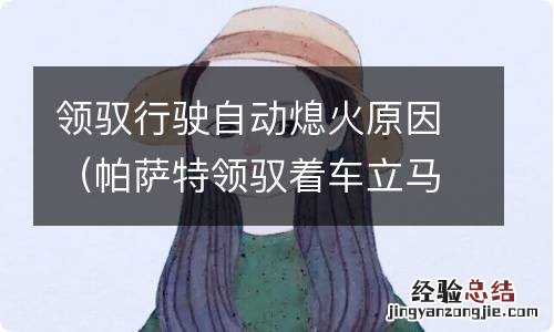 帕萨特领驭着车立马熄火怎么回事 领驭行驶自动熄火原因