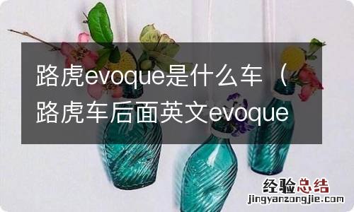 路虎车后面英文evoque 路虎evoque是什么车