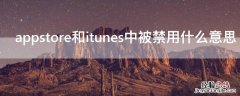 appstore和itunes中被禁用什么意思