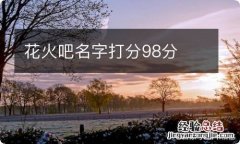 花火吧名字打分98分