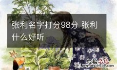 张利名字打分98分 张利什么好听