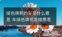 绿色牌照的车是什么意思 车绿色牌照是啥意思