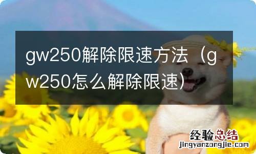 gw250怎么解除限速 gw250解除限速方法