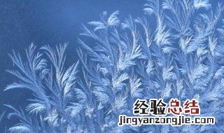 冬天的窗花像什么东西 冬天的窗花是在里面还是外面