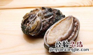 小鲍鱼怎么存放 鲍鱼简单保存方法
