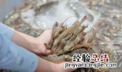 女人梦见活蹦乱跳的虾 梦见好多小虾是什么意思