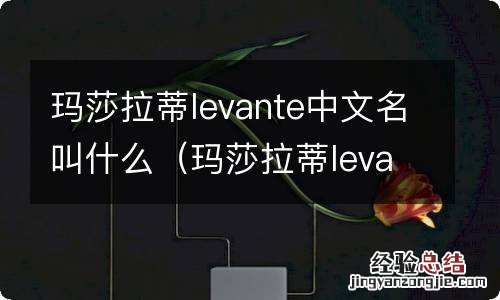 玛莎拉蒂levante中文名字 玛莎拉蒂levante中文名叫什么