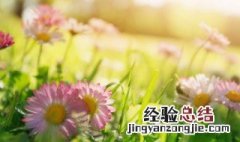 小春日和是什么季节 小春是几月