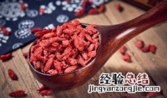 枸杞子可以泡茶喝吗它有什么好处 枸杞子可以泡茶喝吗