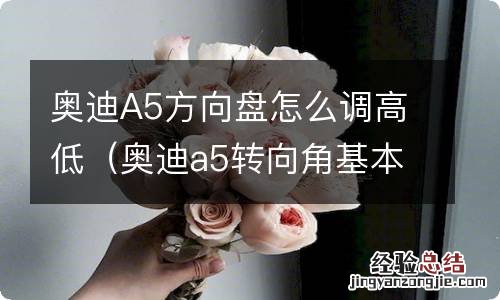 奥迪a5转向角基本设置 奥迪A5方向盘怎么调高低