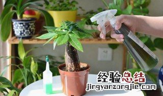 养花的营养液怎么用 养花的营养液用法介绍