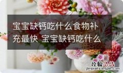 宝宝缺钙吃什么食物补充最快 宝宝缺钙吃什么食物补充最快呢