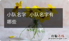 小队名字小队名字有哪些