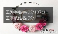 王海宇名字打分107分 王宇航姓名打分